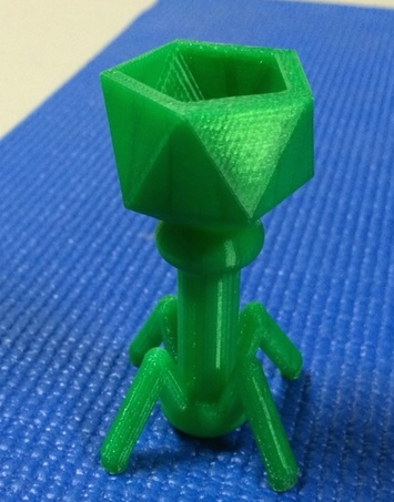噬菌体3D打印模型