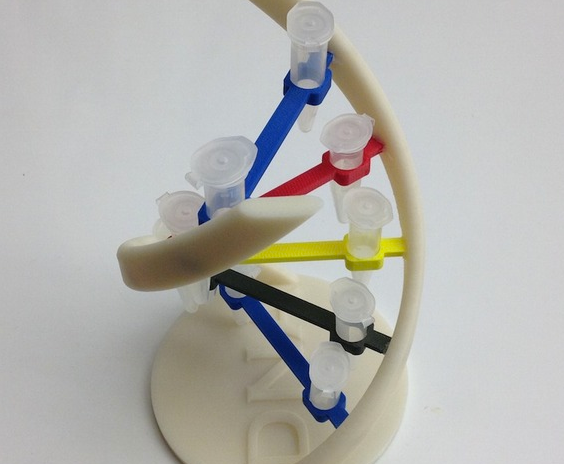 DNA试管夹3D打印模型