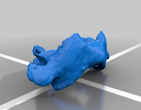 人类颈椎3D打印模型