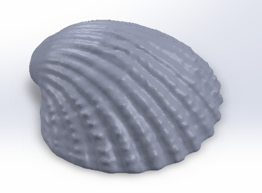 贝壳图集设计3D打印模型