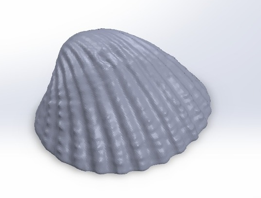 贝壳图集设计3D打印模型