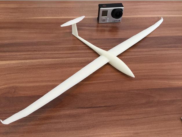 Glider DG-1000滑翔机3D打印模型