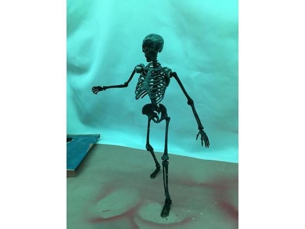 可活动骷髅人3D打印模型