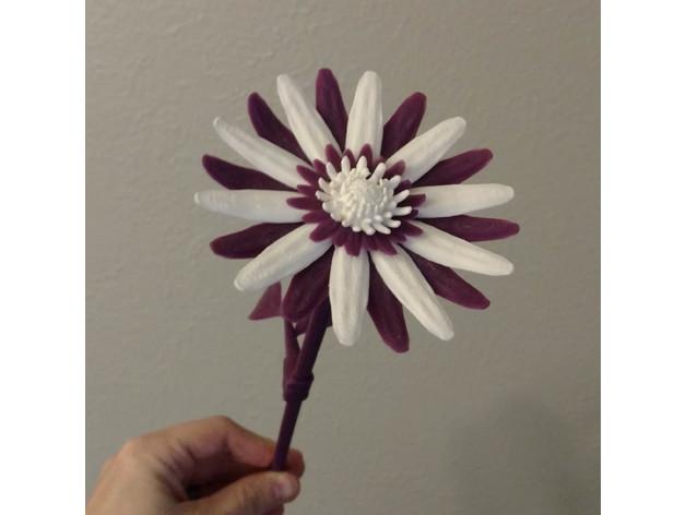 雏菊3D打印模型