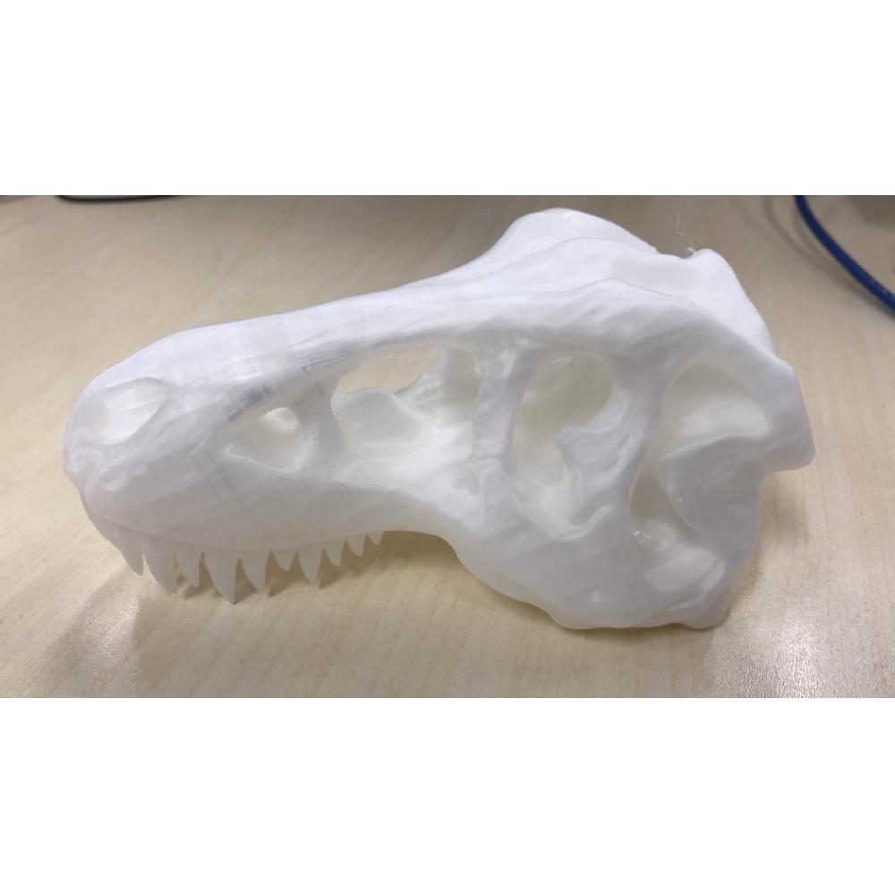 霸王龙头骨3D打印模型