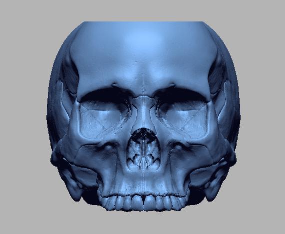 骷髅笔筒3D打印模型