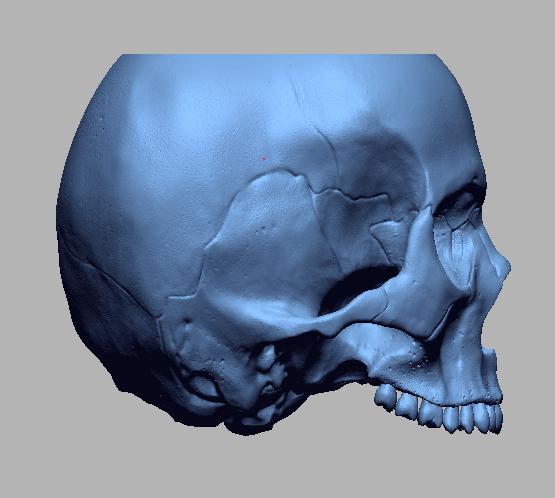 骷髅笔筒3D打印模型