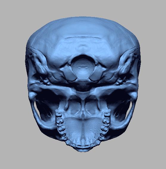 骷髅笔筒3D打印模型