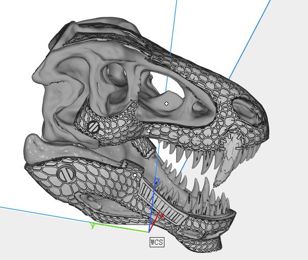 霸王龙头骨3D打印模型