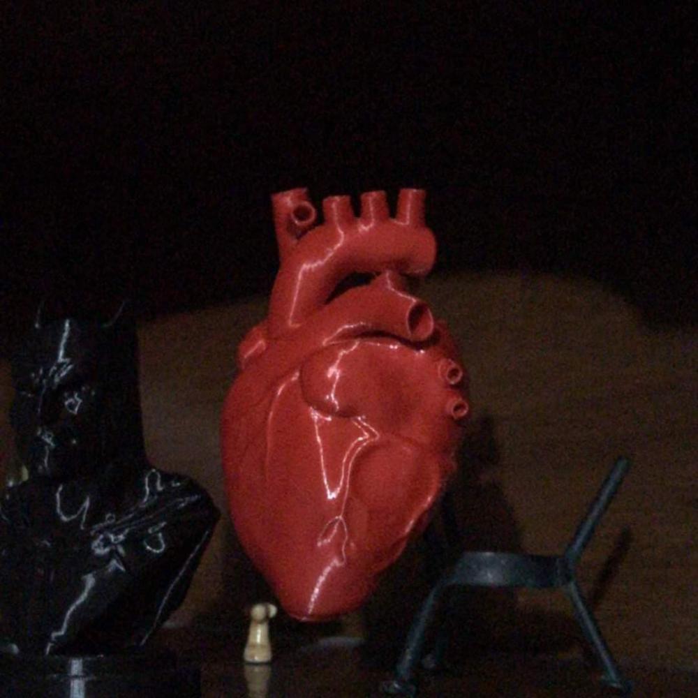 心脏模型3D打印模型