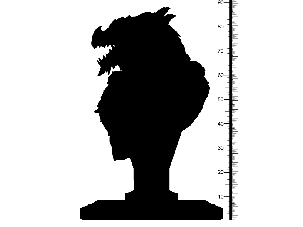 龙血德鲁伊半身像3D打印模型