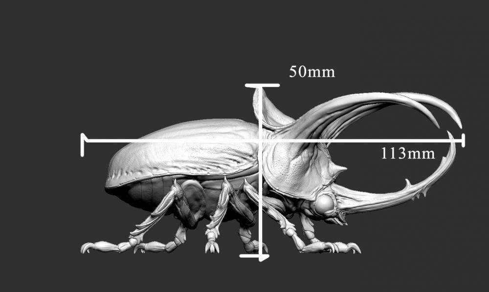 巨人甲虫3D打印模型