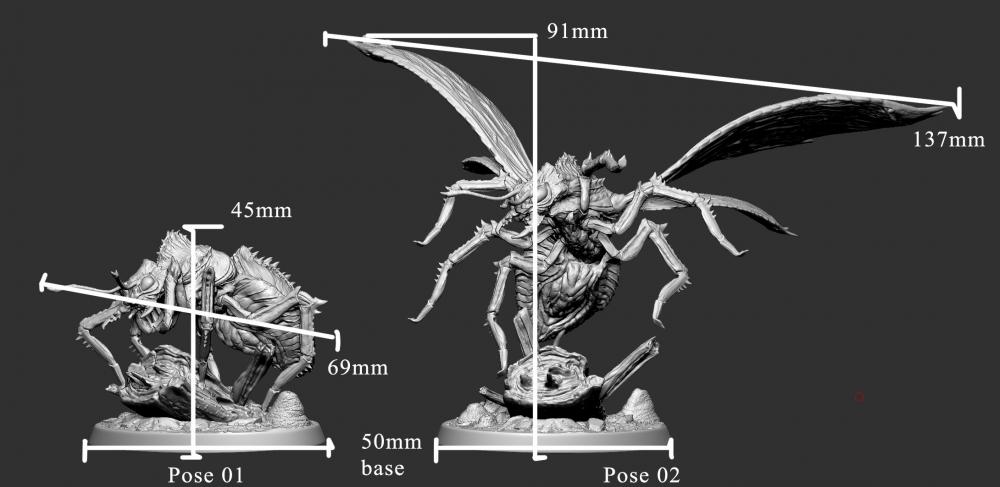 巨人蚂蚁3D打印模型