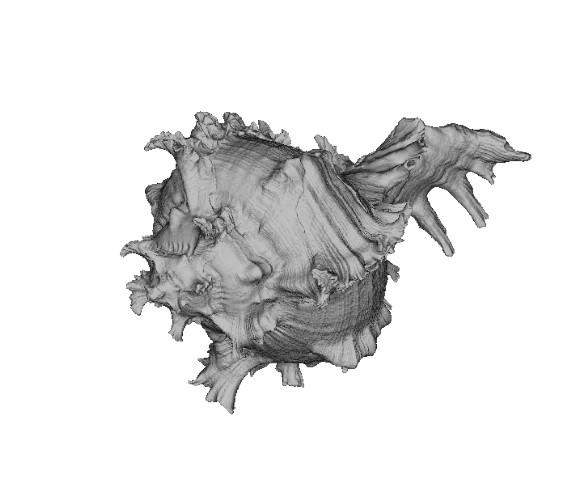 海螺3D打印模型