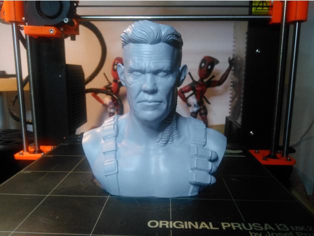 电索半胸3D打印模型