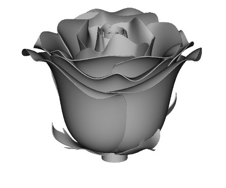 玫瑰花3D打印模型