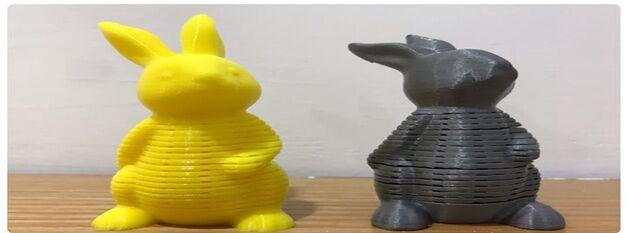 弹簧兔3D打印模型