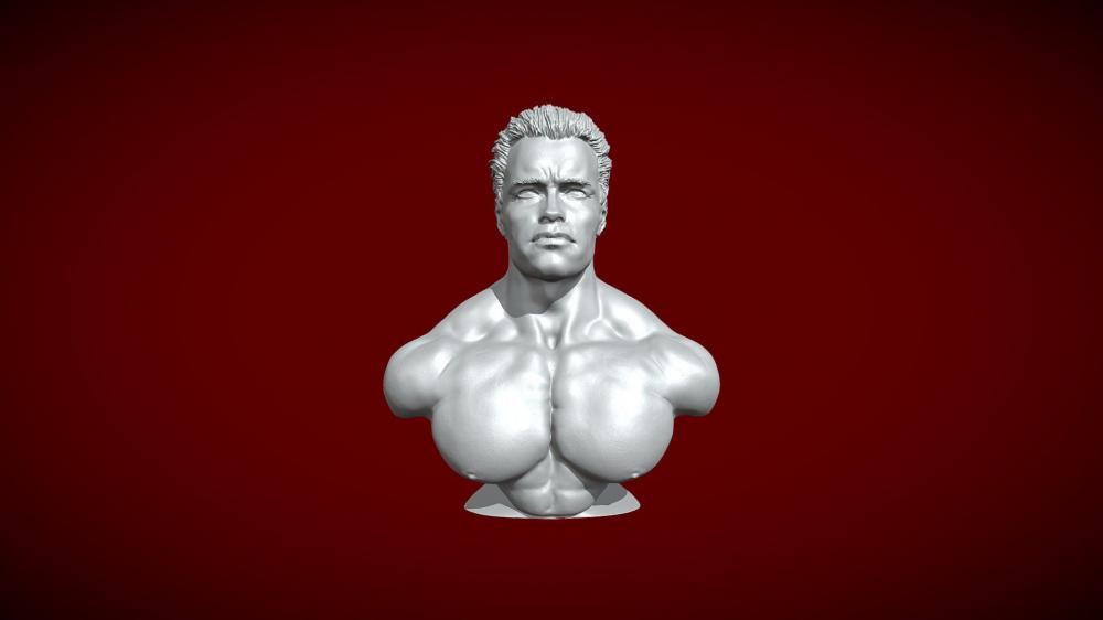 施瓦辛格半胸像3D打印模型