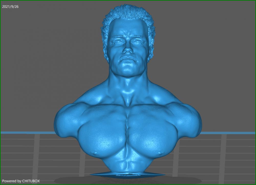 施瓦辛格半胸像3D打印模型