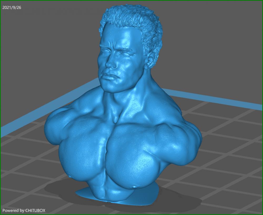 施瓦辛格半胸像3D打印模型