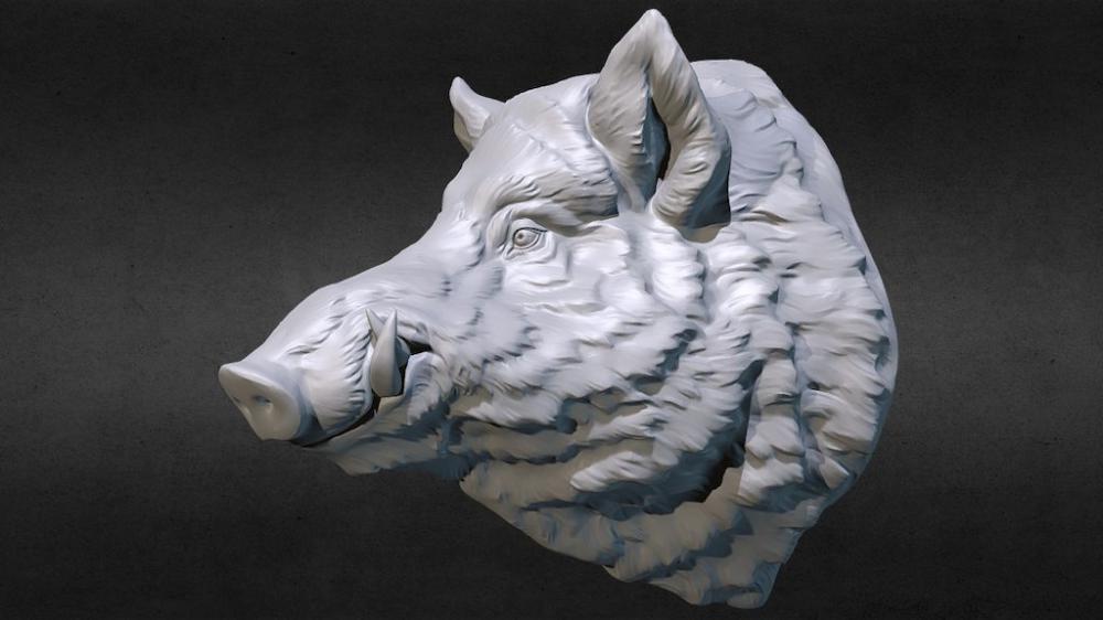 野猪头3D打印模型