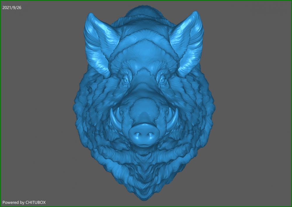 野猪头3D打印模型