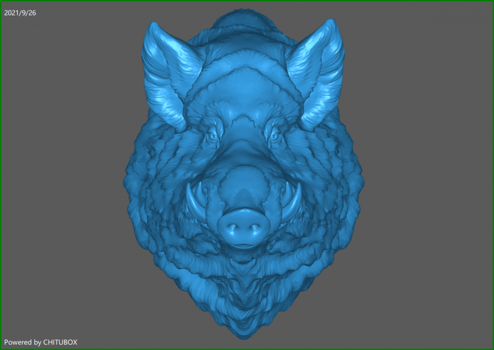 野猪头3d打印模型