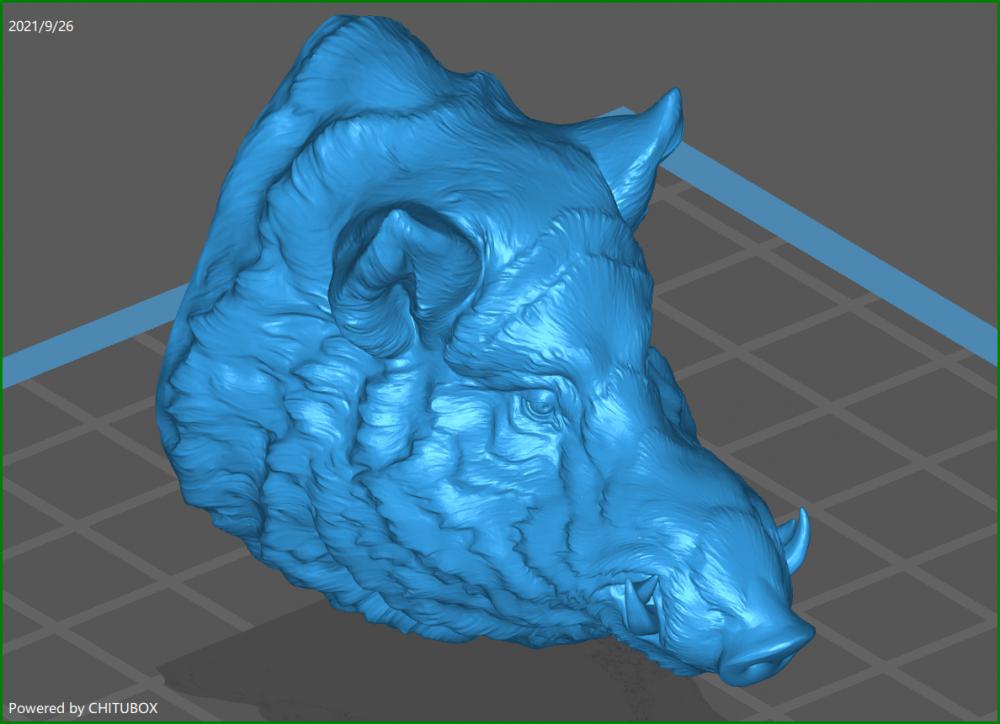 野猪头3D打印模型