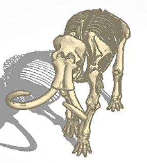 猛犸象骨头3D打印模型