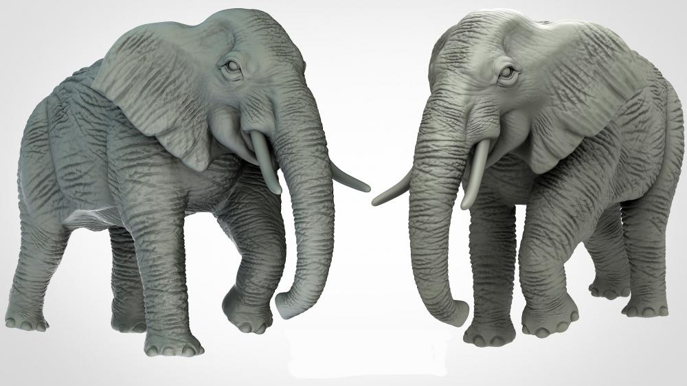 动物系列 大象3D打印模型