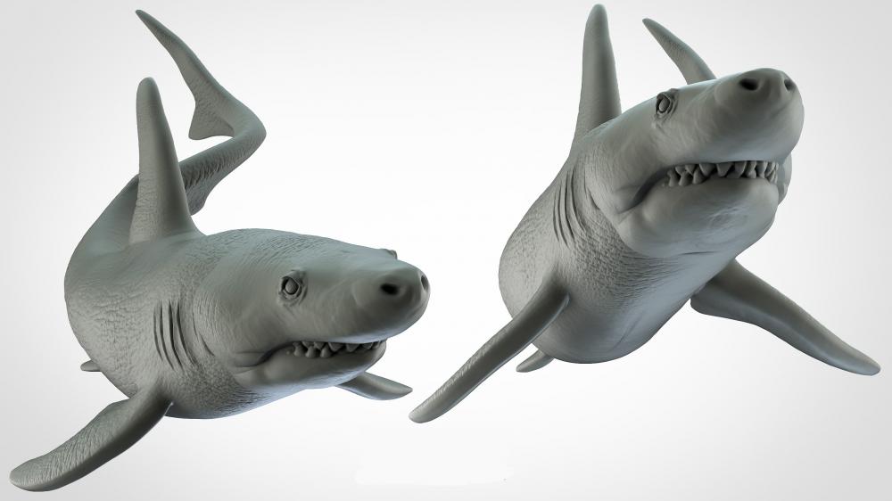 动物系列 鲨鱼3D打印模型