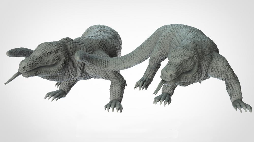 动物系列 科莫多巨蜥3D打印模型