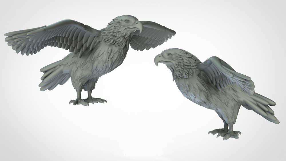 动物系列 鹰3D打印模型