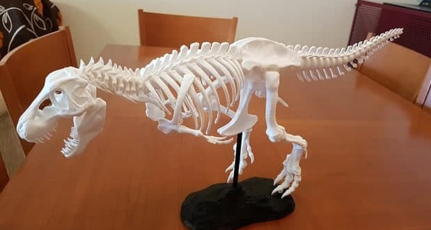 恐龙骨架化石3D打印模型
