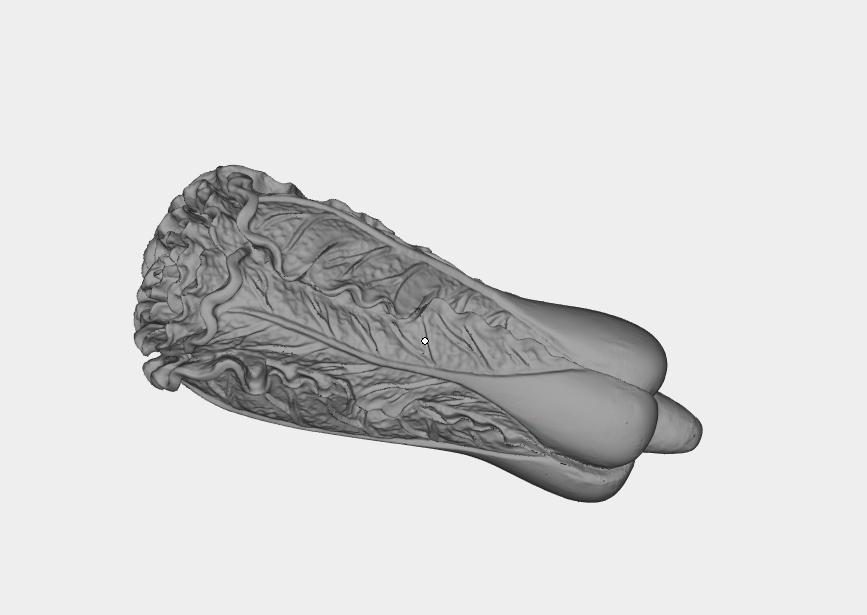 白菜3D打印模型