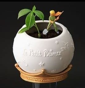 小王子 盆栽3D打印模型