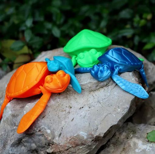 可活动的小海龟3D打印模型