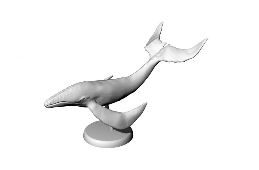 天鲸-桌面微缩3D打印模型