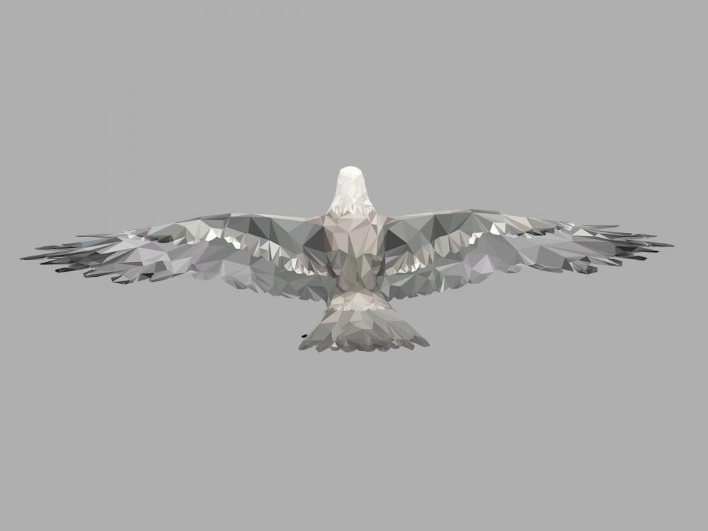 白鹰 低多边形3D打印模型
