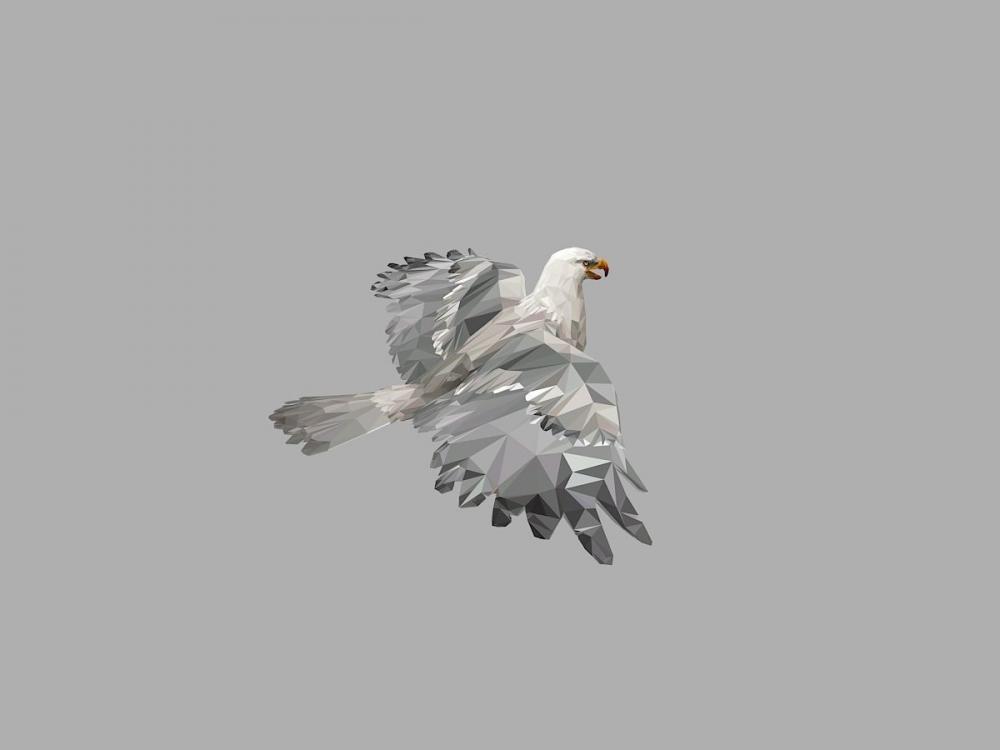 白鹰 低多边形3D打印模型