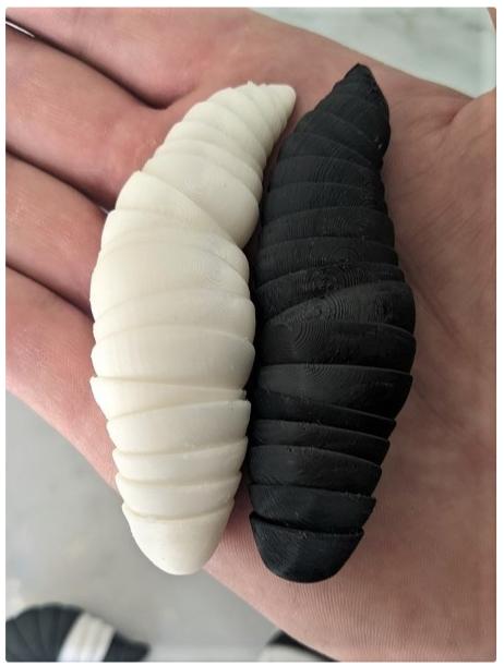 可动的幼虫3D打印模型