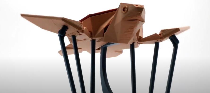 会飞的海龟3D打印模型