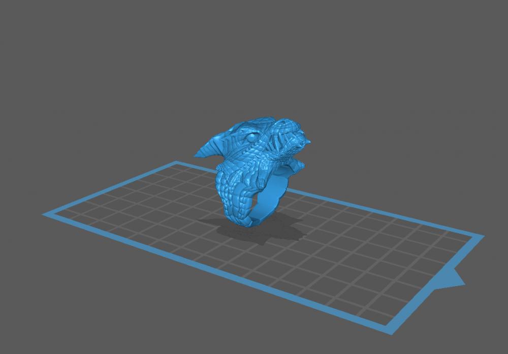 龙戒3D打印模型