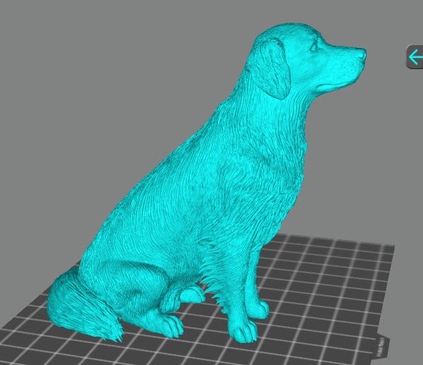 狗狗3D打印模型