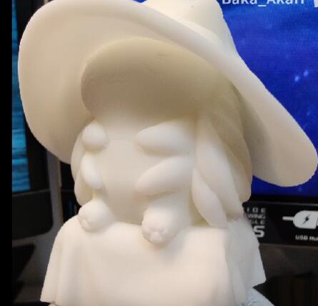 艾尔登法环 猫猫虫咖波版拉妮3D打印模型