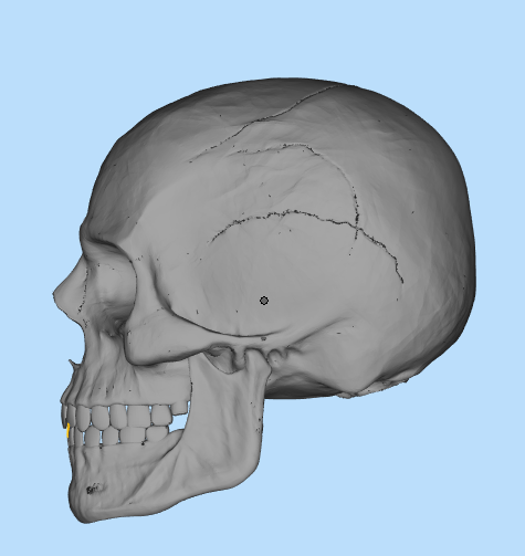 骷髅头3D打印模型