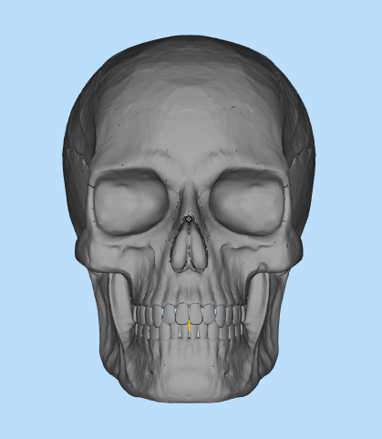 骷髅头3D打印模型