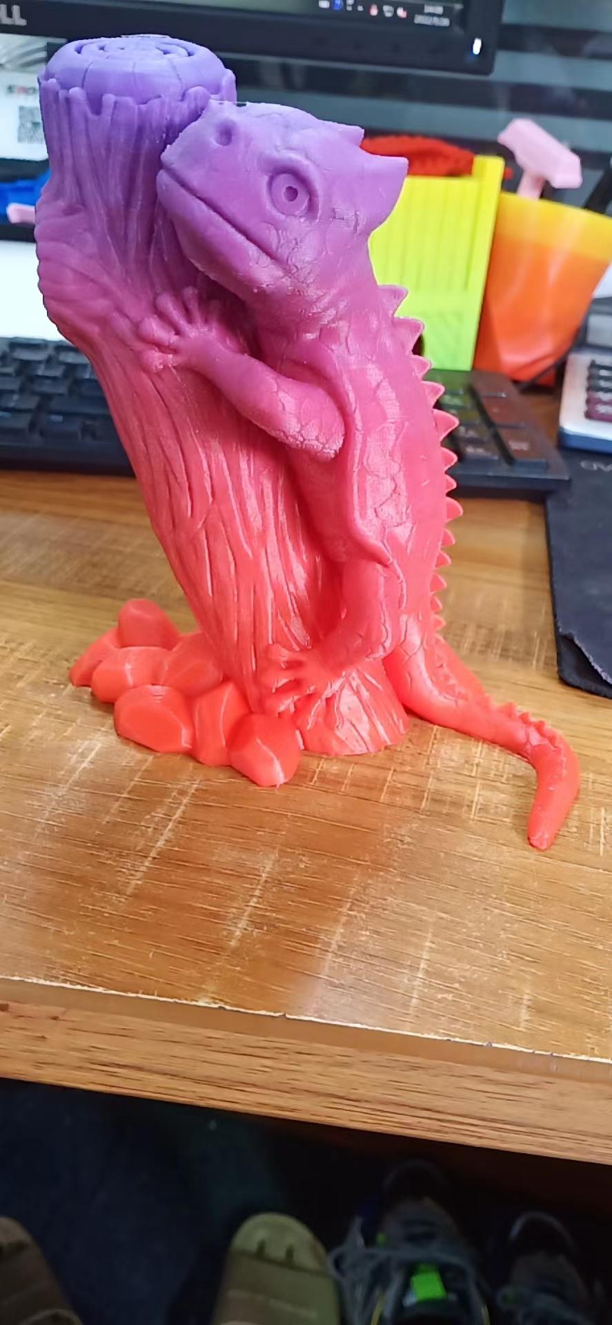 蜥蜴3D打印模型