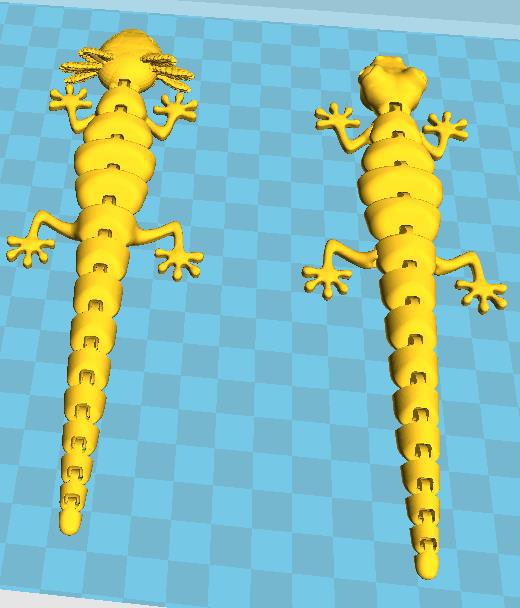 可动铰链式壁虎+蝾螈3D打印模型