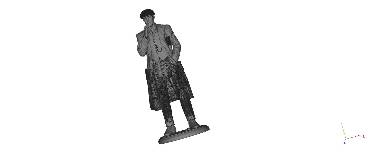 汤米·谢尔比人像3D打印模型